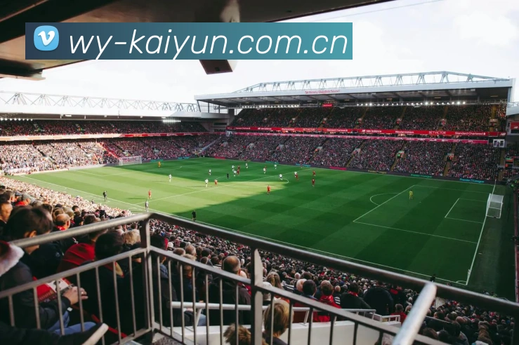 世界杯赛事直播 kaiyun